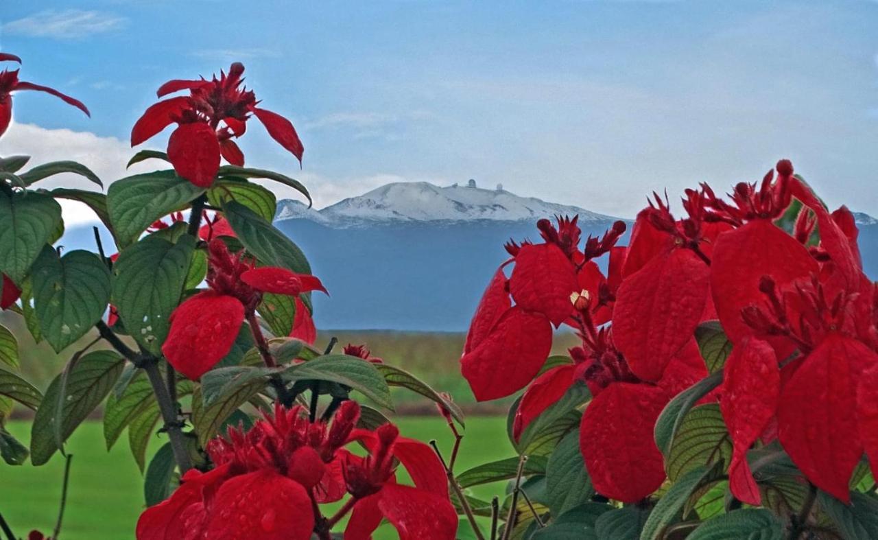 Ocean View Mauna Loa Shores Kai Ekahi #201 Next To Carlsmith Beach Park Hilo Hi Exterior foto
